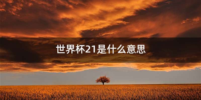 世界杯21是什么意思