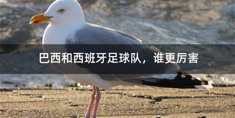 巴西和西班牙足球队,谁更厉害