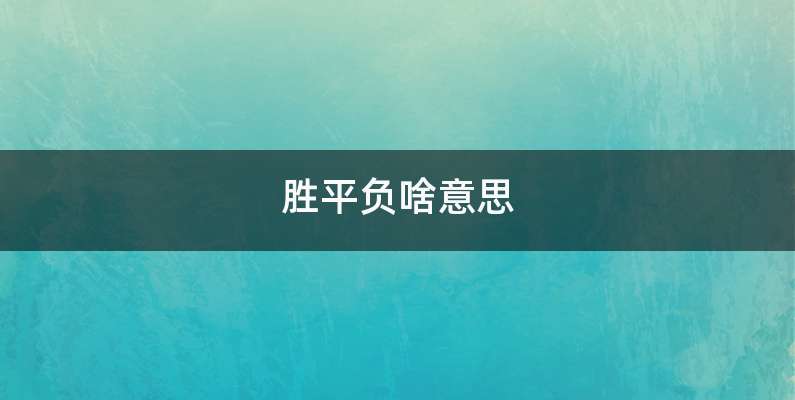 胜平负啥意思