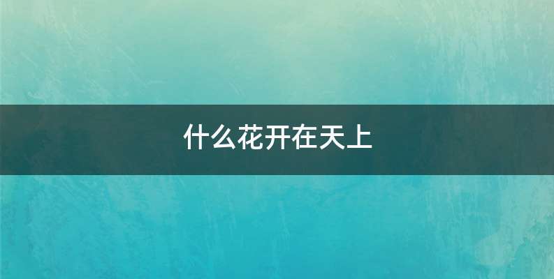 什么花开在天上