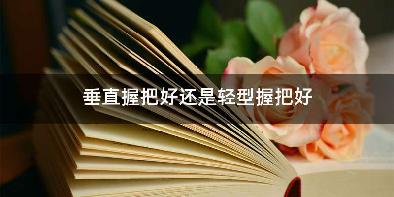 垂直握把好还是轻型握把好