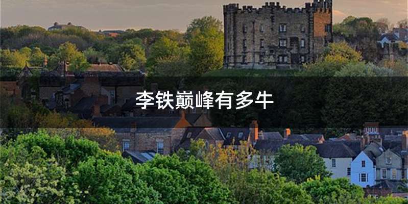 李铁巅峰有多牛