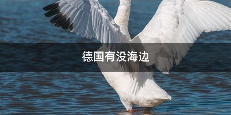 德国有没海边