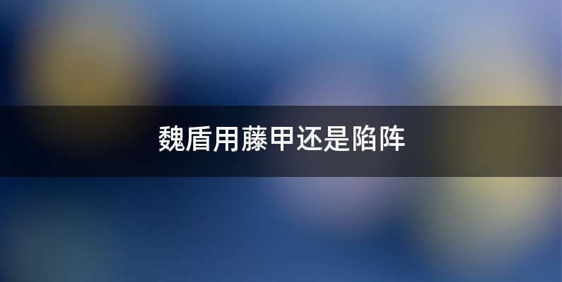 魏盾用藤甲还是陷阵