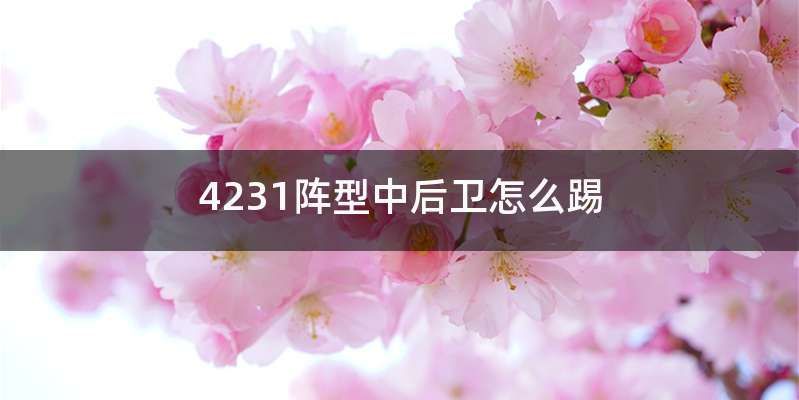 4231阵型中后卫怎么踢