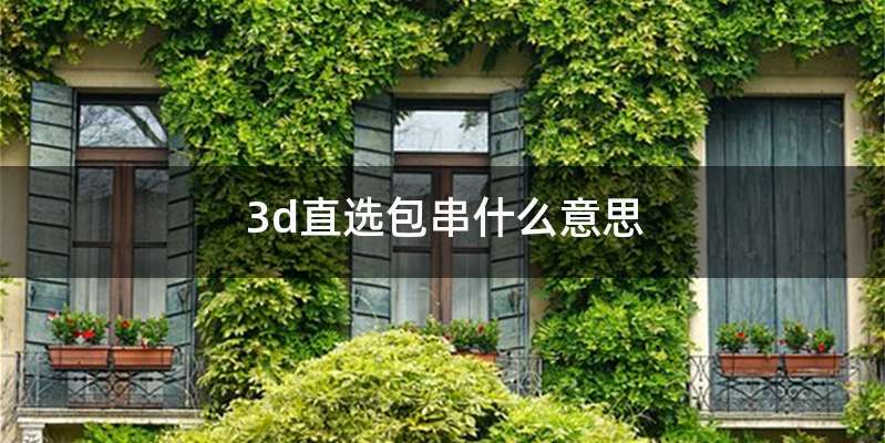 3d直选包串什么意思