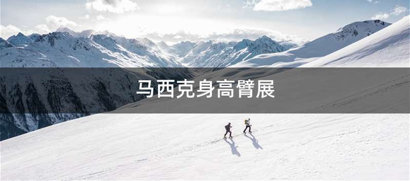 马西克身高臂展