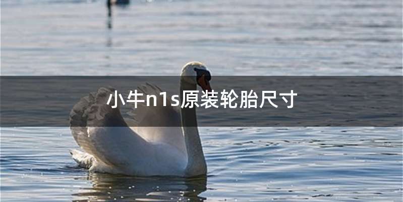 小牛n1s原装轮胎尺寸