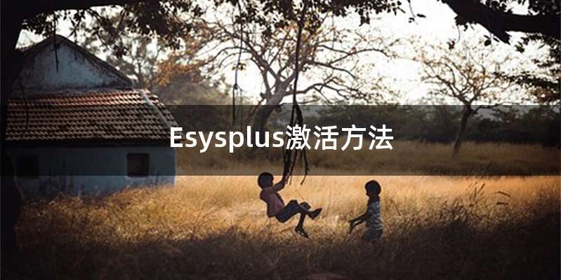 Esysplus激活方法