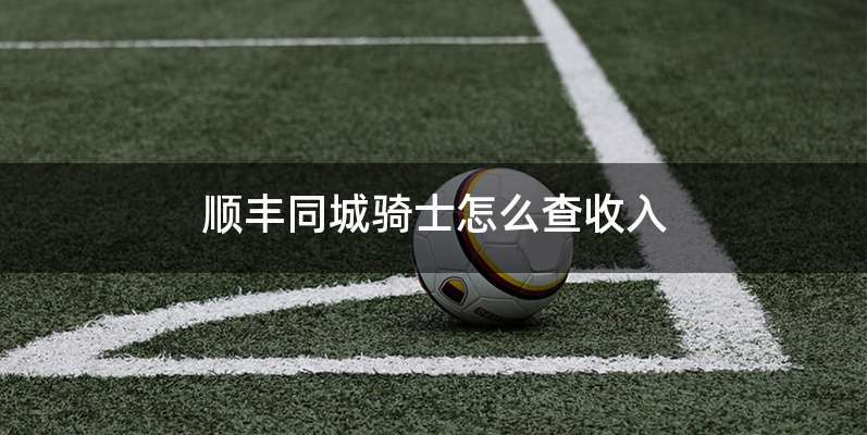 顺丰同城骑士怎么查收入