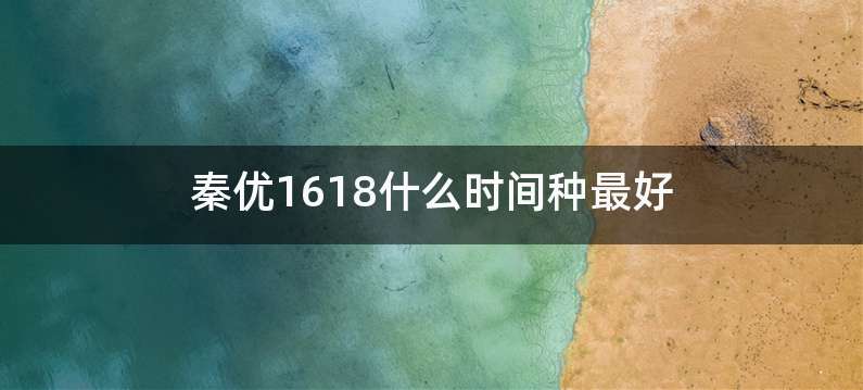 秦优1618什么时间种最好
