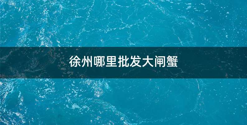 徐州哪里批发大闸蟹