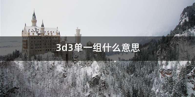 3d3单一组什么意思