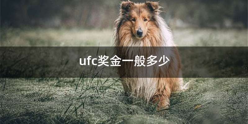 ufc奖金一般多少