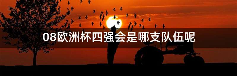 08欧洲杯四强会是哪支队伍呢