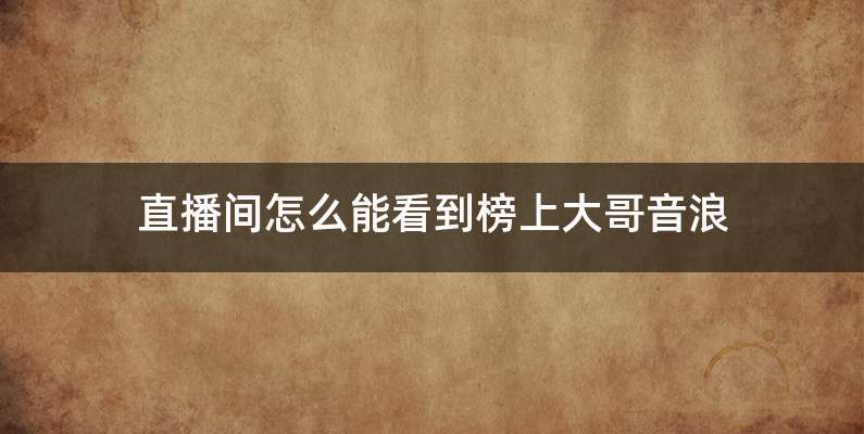 直播间怎么能看到榜上大哥音浪