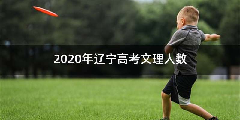 2020年辽宁高考文理人数