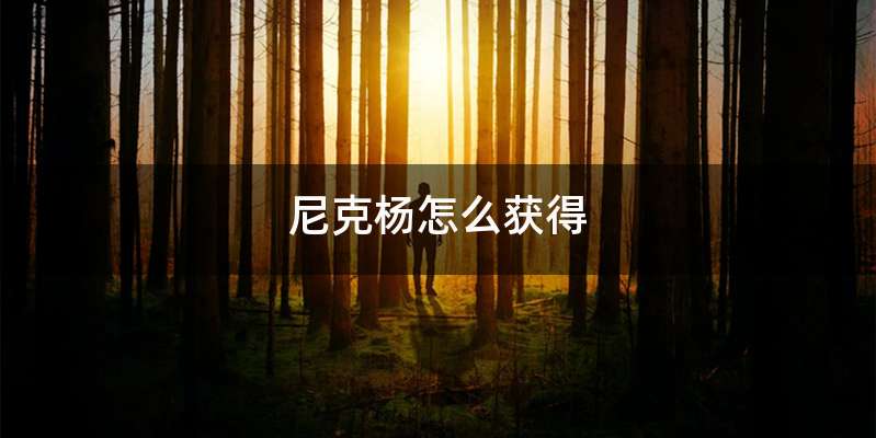 尼克杨怎么获得