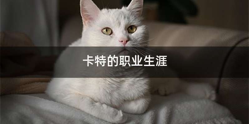 卡特的职业生涯