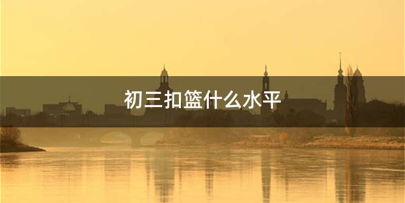 初三扣篮什么水平