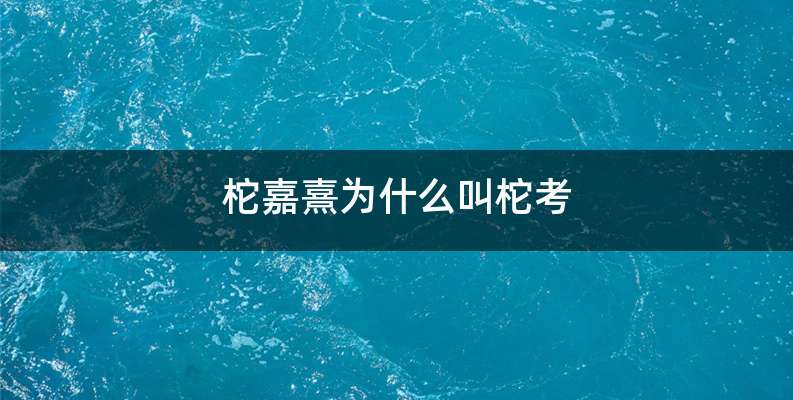 柁嘉熹为什么叫柁考