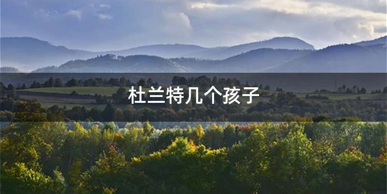 杜兰特几个孩子