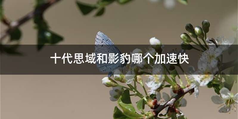 十代思域和影豹哪个加速快