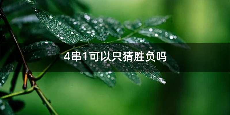 4串1可以只猜胜负吗