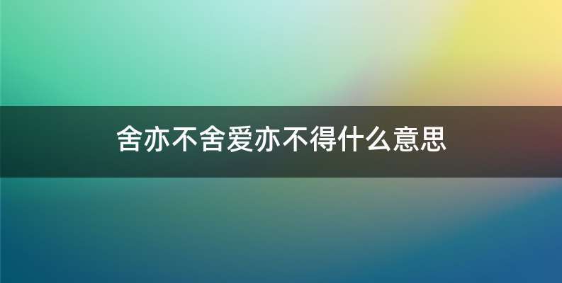 舍亦不舍爱亦不得什么意思