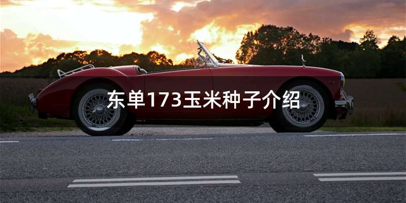 东单173玉米种子介绍