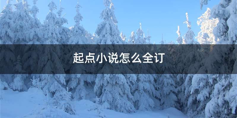 起点小说怎么全订