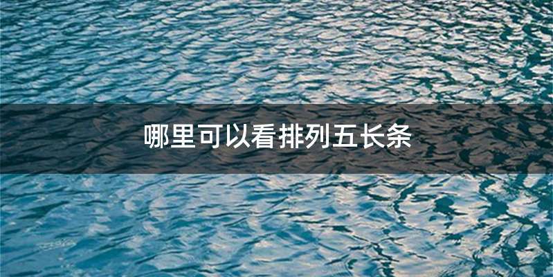 哪里可以看排列五长条