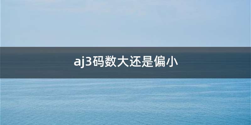 aj3码数大还是偏小