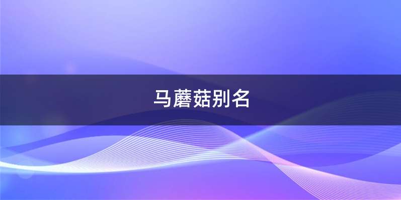 马蘑菇别名