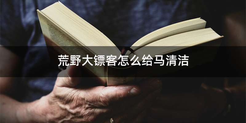 荒野大镖客怎么给马清洁