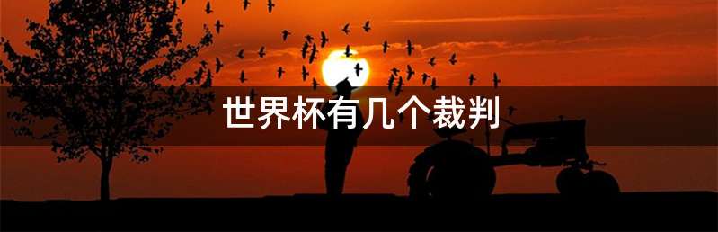 世界杯有几个裁判