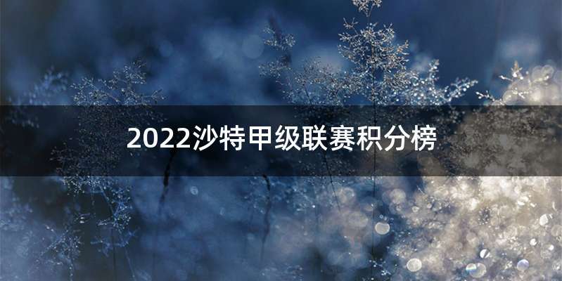 2022沙特甲级联赛积分榜