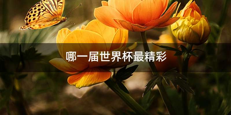 哪一届世界杯最精彩