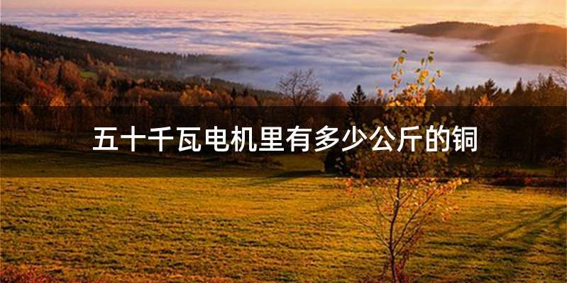 五十千瓦电机里有多少公斤的铜