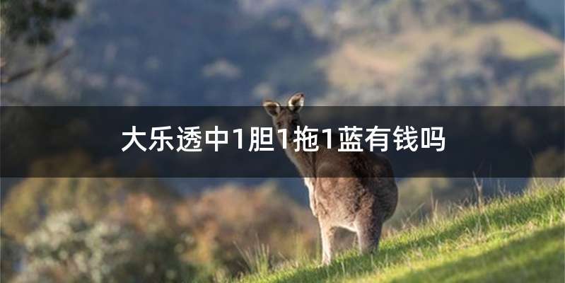 大乐透中1胆1拖1蓝有钱吗