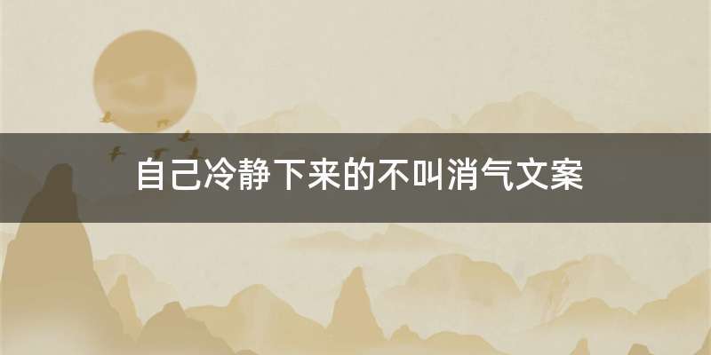 自己冷静下来的不叫消气文案