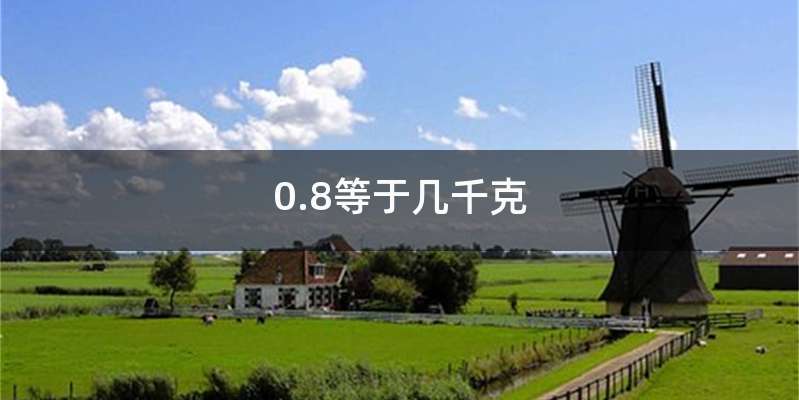 0.8等于几千克