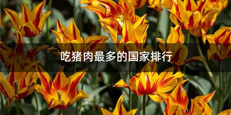 吃猪肉最多的国家排行