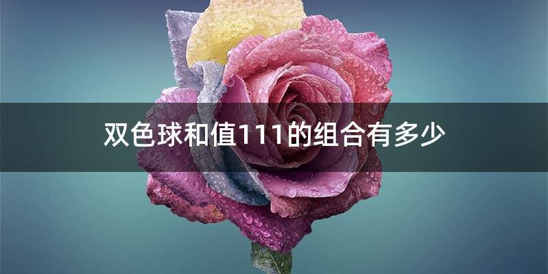 双色球和值111的组合有多少