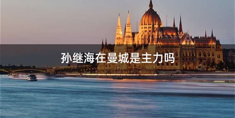 孙继海在曼城是主力吗