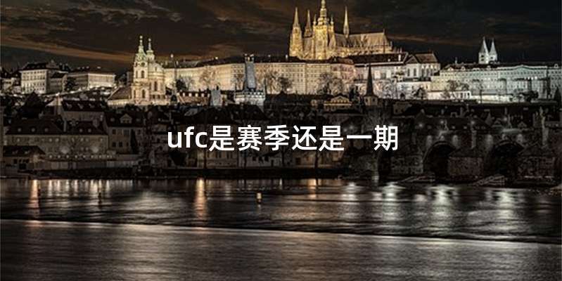 ufc是赛季还是一期