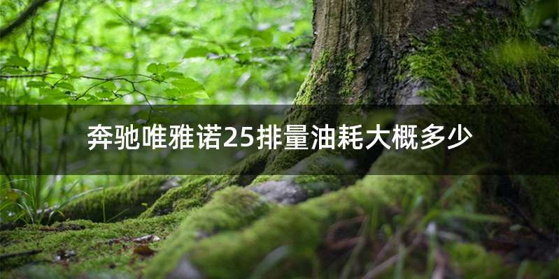 奔驰唯雅诺25排量油耗大概多少
