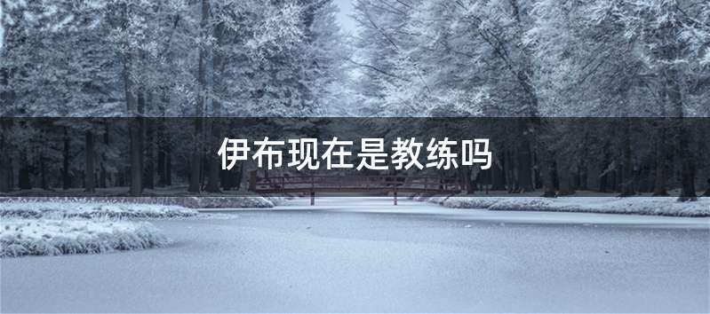 伊布现在是教练吗