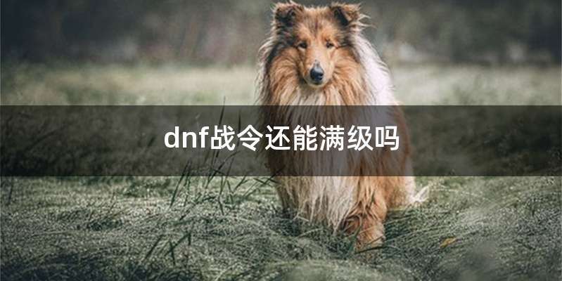 dnf战令还能满级吗