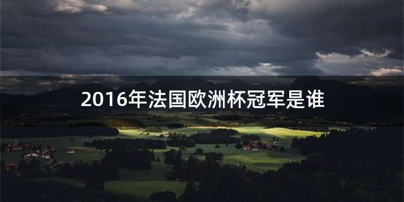 2016年法国欧洲杯冠军是谁